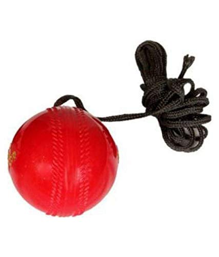 Paul Sports Cricket Practice Synthetic Hanging Ball for Knocking Stroke Improves Batting Skills (B09B1ZC3XG) Amazon Price History, Amazon Price Tracker