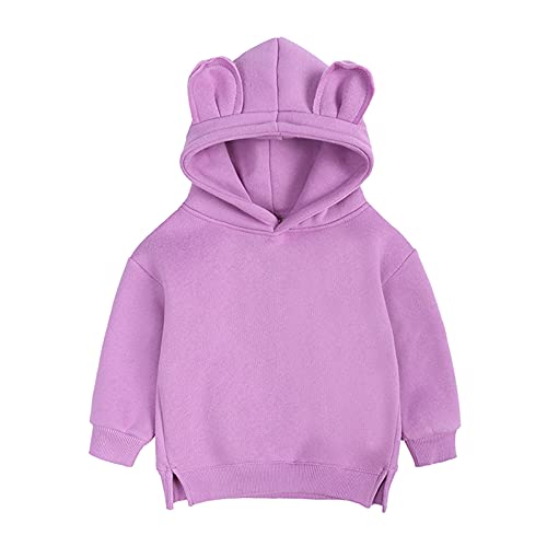 Toddler Baby Boys Girls Hoodies Pullover Hooded Bear Ears Solid Thick Cute Sweatshirt Fall Winter Clothes