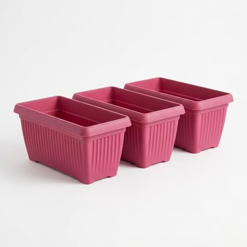 Image of Bello Rectangle 30cm Pink Plastic Planter | Rectangular Flower Pot for Home & Garden (Pack of 3)