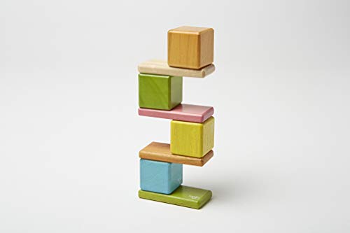 Tegu ポケットポーチ マグネット木製ブロックセット ティント 8ピース 関連画像 5