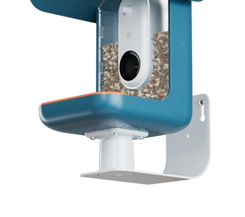 Birdbuddy Wall Mount - Versatile Bird Feeder Wall Mount for Wall & Fences - Durable, Weather-Proof Heavy Duty and Secure & Stylish Outdoor Feeder Accessory