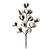 JEWEDECO 12 Dried Flower Branches White Decor White Cotton Stems Decor Artificial Cotton Stems Cotton Floral Pick Artificial Cotton Flowers Home Decor Plants Decor Dried Flowers Cotton Ball