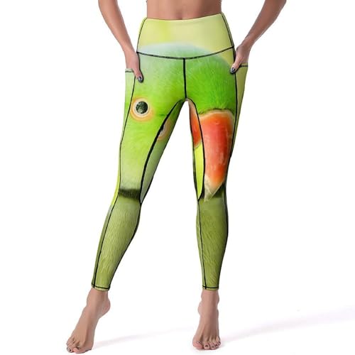 Legging de sport taille haute vert perroquet S pantalon de sport gainant fitness yoga