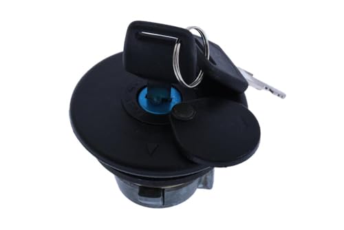 Tapón depósito gasolina para restaurar YAMAHA FZR 400 y FZR 250 Genesis 2