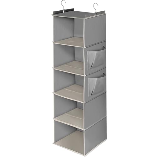 Cozary Étagère de penderie à Suspendre 5 Niveaux, Rangement Suspendu Pliable, Rangement Penderie avec Renfort Intérieur, Tissus Rangement Etagere Suspendue - Gris