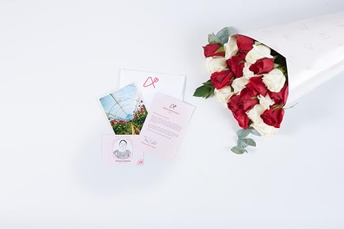 Aquarossa Farms - 2 Dozen Roses Christmas Bouquet, Best Next-Day Fresh Flower for Delivery Prime, Ideal for Birthdays, Get Well Gift for Women, Anniversary, Sympathy, Congratulations, Thank You