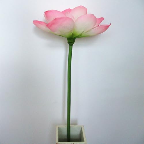 HGJH tFCNt[ W{ ^ 傫  p[eB[p fBXvC F Cxgꉉo ԏ X^WIwi Xܑ IuWFu |s[ l 70cm J[10