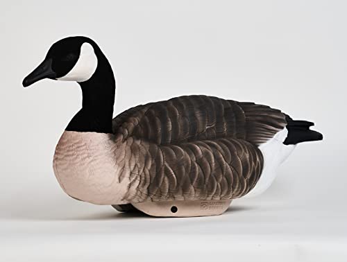 Lifetime Decoys Hydrofoam Canada Goose Floater Decoys 4 Pack (Flocked Head) - Light As A Feather - Lasts Forever #TOP5