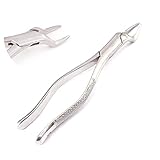 Dental Tooth Extracting Forceps #65 DDP Instruments