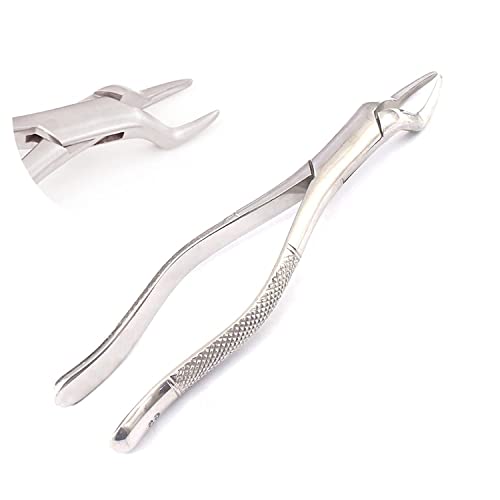 Dental Tooth Extracting Forceps #65 DDP Instruments