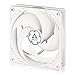 ARCTIC P12 PWM - 120 mm, Ventilateur Boitier Silencieux, Pression Statique Élevée, Roulement à Fluide Dynamique, Fonction de Régulation PWM Silencieuse, 200-1800 RPM - Blanc