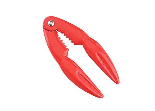 SQUAMAPESCE INOXYDABLE AVEC MANCHE Cover