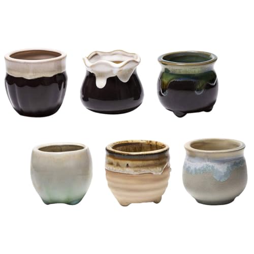 Housoutil Macetas Pequeñas de Cerámica Esmaltada para Suculentas y Cactus, Juego de 6 Piezas Diseño Aleatorio, Macetas para Jardín E Interior, Contenedores Decorativos para Estilo Aleatorio