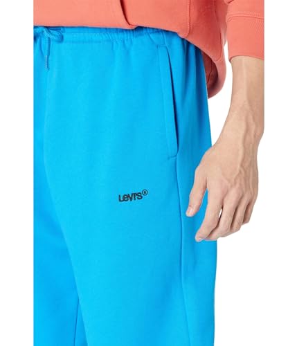 Image of Levi's Men's Seasonal Sweatpants, Cloisonne, Small