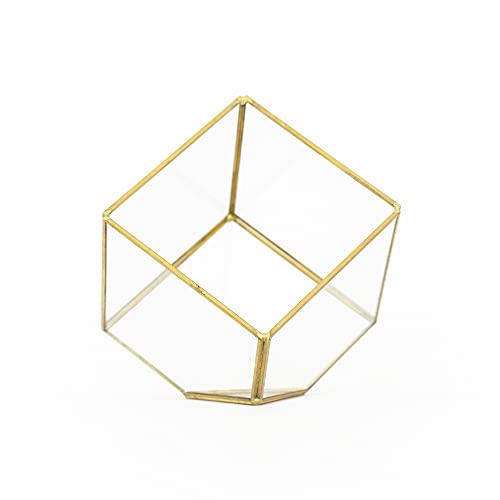Heptahedron Geometric Glass Terrarium - Air Plant Tillandsia Holder -