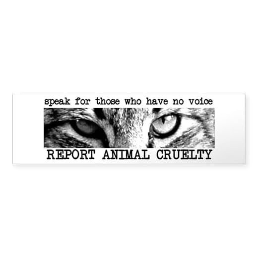 Animal Cruelty Bumper Sticker Pack