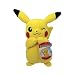 Produktbild BOTI Pokemon  Peluche 20 cm Wave 9  Display 6 Stück