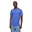 Dazzling Blue 183949tc Dazzling Blue 183949tc