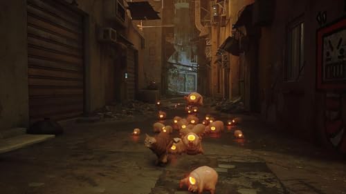 Stray (Nintendo Switch)