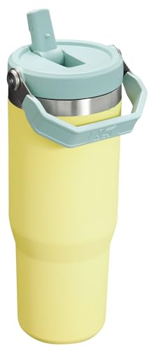 Stanley IceFlow Flip Straw Tumbler with Handle 30 oz | Twist On Lid and Flip Up Straw | Leak Resistant Water Bottle | Insulated Stainless Steel |BPA-Free | Pomelo