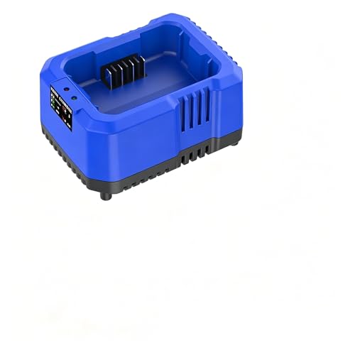 Amityke 80V Battery Charger Replacement for Kobalt Battery and Charger