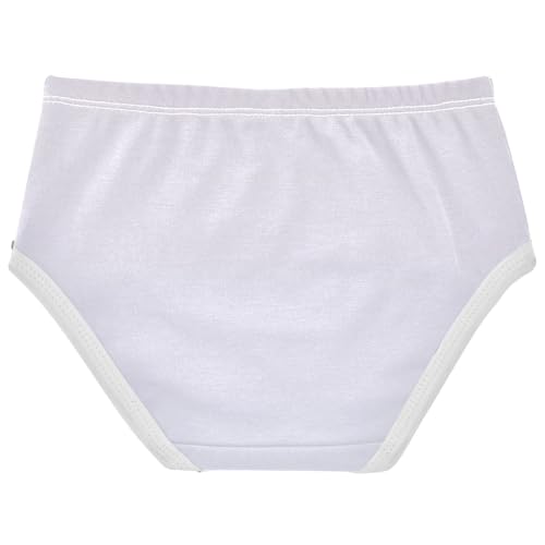 Joisal Ombre Lavender Gradient Cute Panties Girl Toddler Girls Underwear Cotton Colorful Underpants Briefs 2t2