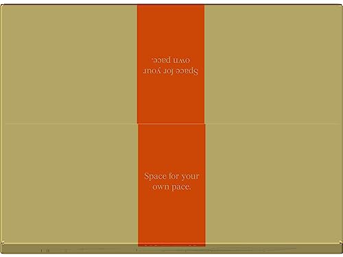 Lifewit Caixa de armazenamento de fotos 10 x 15 cm, 18 porta-fotos internas, armazenamento de caixas