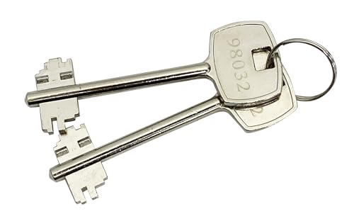 ARREGUI Ideal-5 271350 Wandtresor zum Einmauern | Safe mit Doppelbart Sicherheitsschloss | Doppelbolzen Verrigelung | Anwenderfreundlich mit Schlüssel | Wandmontage | 30 x 41 x 20 cm