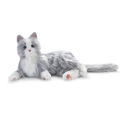 Silver Cat With White Mitts