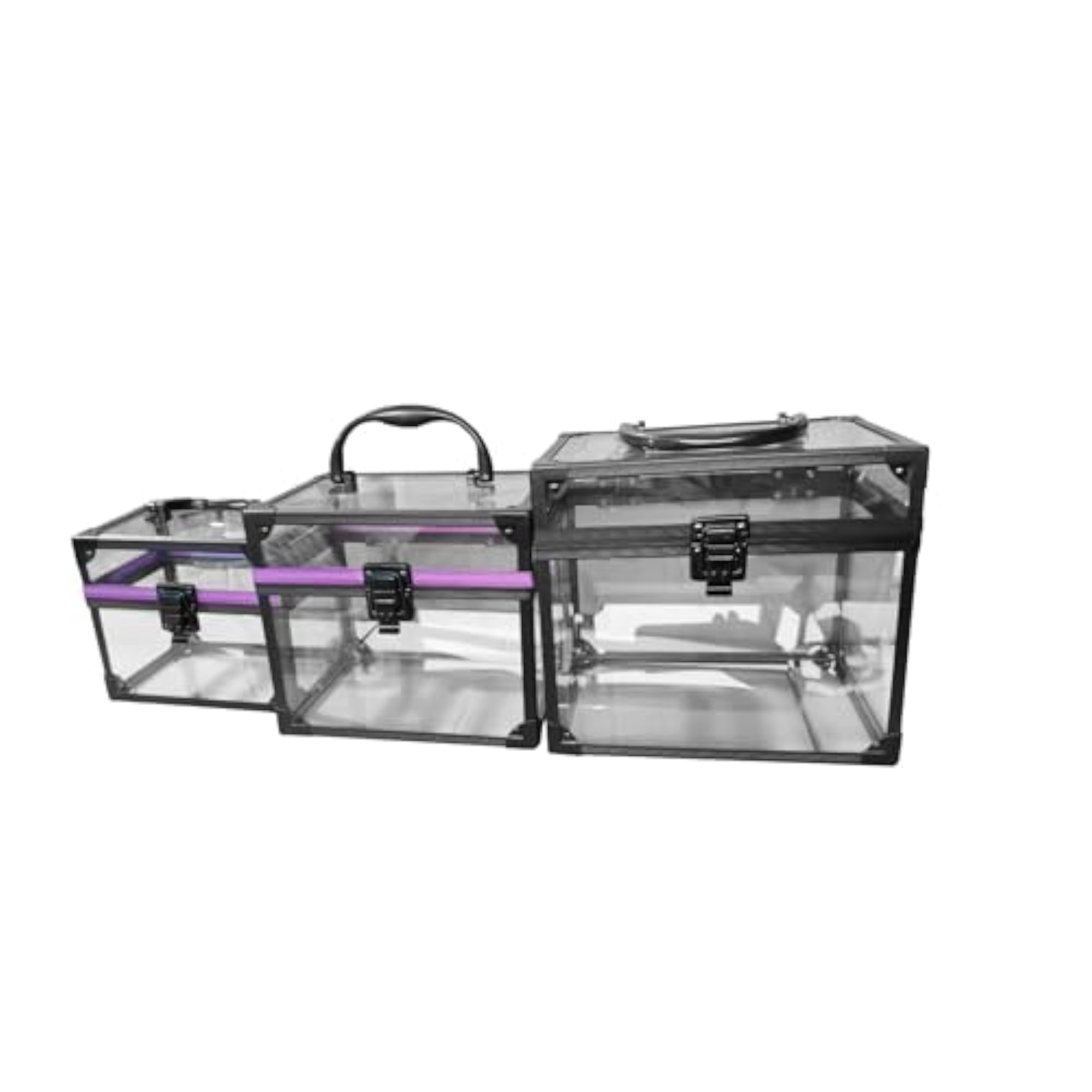 Clear Portable Cosmetics Train Case with Handle