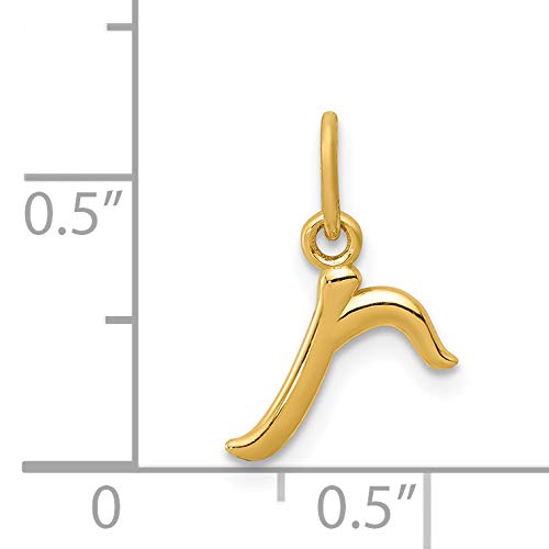 14k Yellow Gold Lowercase Cursive Style Letter R Initial Charm 9x7mm3