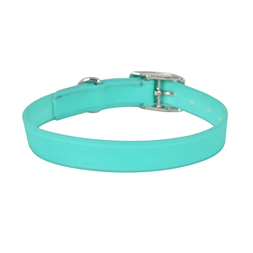 Image of Lightweight, Waterproof & Odour Proof Dog Collar - Large, Turquoise