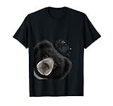 Regalos de oso perezoso