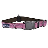 Coastal Pet K9 Explorer Reflective Adjustable Dog Collar - Comfortable Collar for The Outdoors - Durable, Lightweight Accessory with Side-Release Buckle - Berry, 1" x 12-18"
