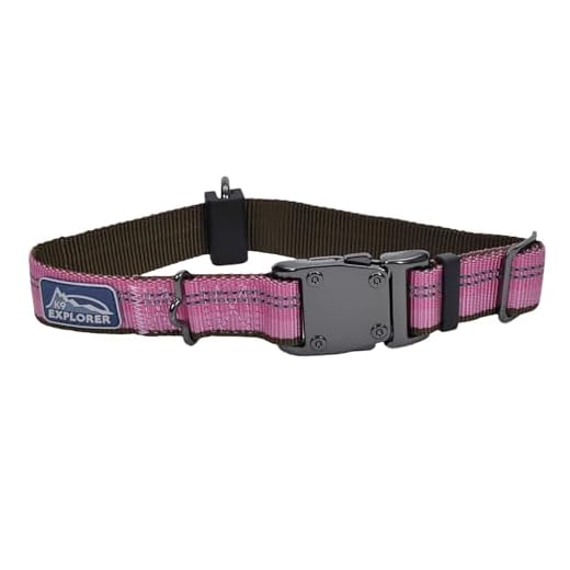 Coastal - K-9 Explorer - Reflective Adjustable Dog Collar, Berry, 1" x 12"-18"