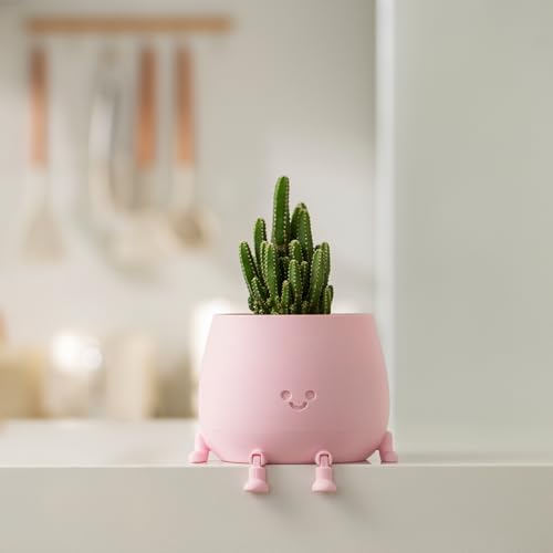 Image of TOPOLA Happy Face Planter, 5.2 Inches Plastic Plant Pot, Self Watering Plant Pot with Drainage Holes for Indoor Outdoor, Succulent Pot, Funny Flower Pot, Sakura
