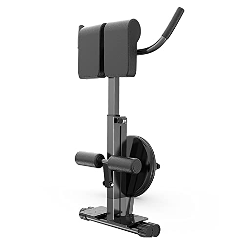 Banco de hiperextensión de espalda, máquina de ejercicio AB ajustable para gimnasio en casa con disco giratorio de cintura, equipo de entrenamiento de fuerza
