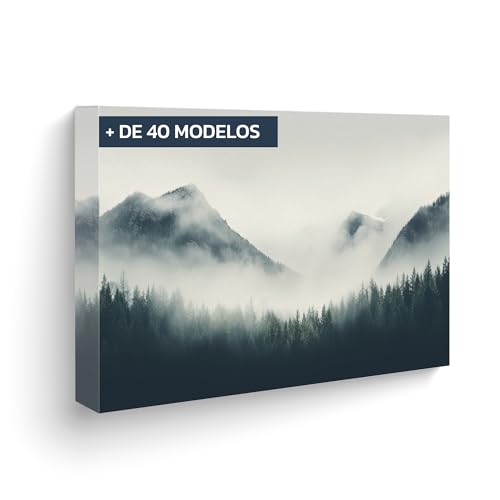 Lafabricadelcuadro Tapa Contador De Luz Decorativa Cuadro Cubre Contador Eléctrico En Madera Mdf Disponible En 40 Diseños Y 2 Tamaños - Medida Externa Pc 110, 46x32 Cm