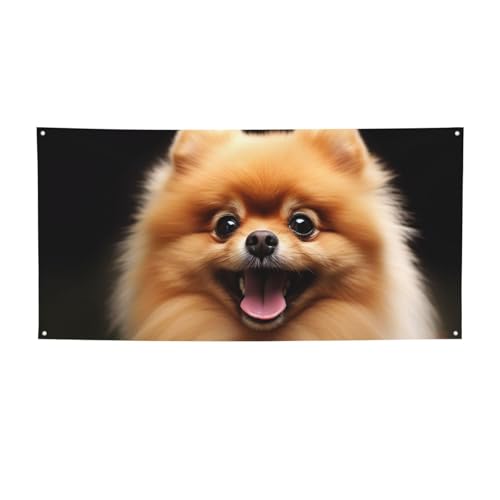 |jAoi[TC O  a wi |X^[ p[eB[ fR[V pi ʐ^wi Obgt p[\iCY EH[oi[ tbO