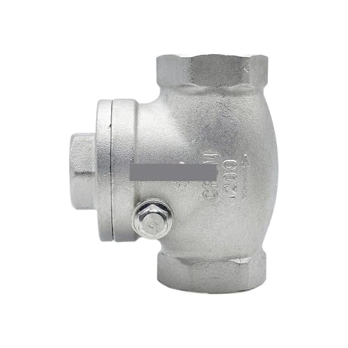 Clapet anti-retour en inox SS304 2 pouces pour fluides industriels