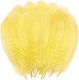 Nos plumes d'oie sont idéales pour divers projets d'artisanat, boucles d'oreilles, pendentifs, fabrication de bijoux, décoration de maison ou de mariage, décorations de vacances, vêtements, chapeaux ou masques, arrangements floraux. Ajoutez un design amusant à une variété de projets