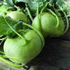 Plantogallery® Kohlrabi Organic F1 Hybrid Seeds Small Pack (B09H48YZ67) Amazon Price History, Amazon Price Tracker