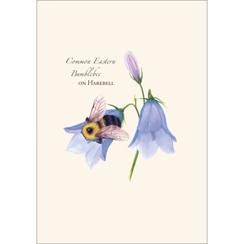 Image of Earth Sky + Water - Spring Bee Assortment Notecard Set - 8 Blank Cards with Envelopes (2 each of 4 styles)