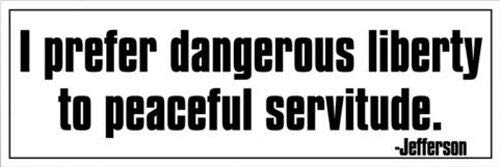 3x9 inch Jefferson I Prefer Dangerous Liberty Quote Bumper Sticker - Libertarian Vinyl Decal Sticker Car Waterproof Car Decal Bumper Sticker