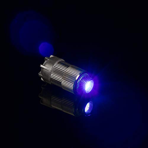 Best Sight Light For Axcel