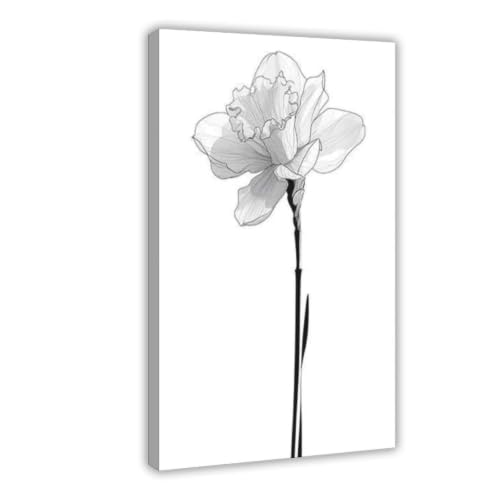 Croquis de jonquille en ligne romantique pour mur vide