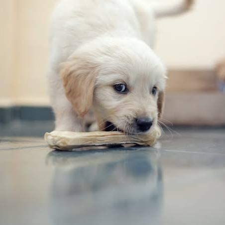 Image of Petlicious & More Rawhide Bones for Dogs 4 Inch 1 Kg Pack Pressed Bones for Dogs (Pack of 1 Kgs)