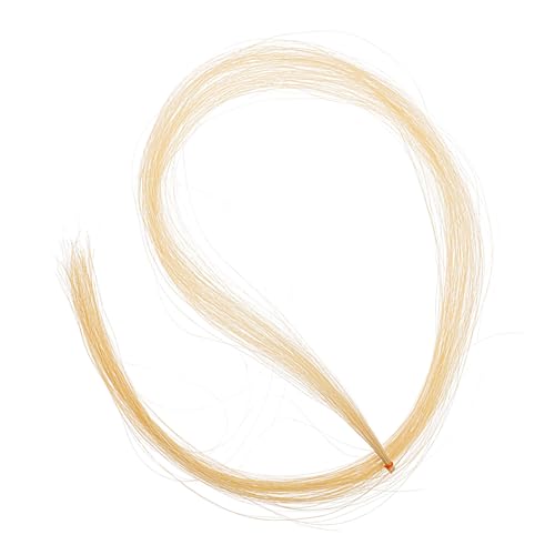 WESIEVYA  | p   p| ƂwZł̗Kɂȑϋv̂  Ҍ̗D gp