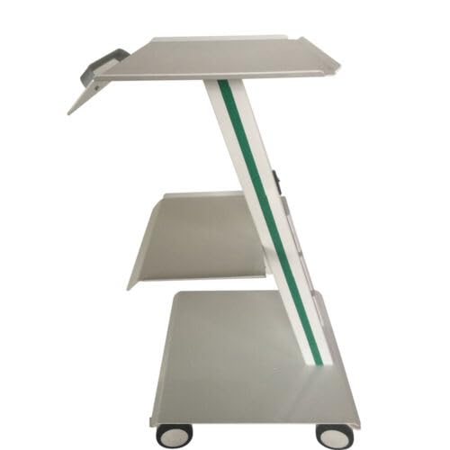 Salon Trolley Carrello con ruote, Carrello di Bellezza, Salone Vassoio Spa Servizio Carrello per Estetista Acciaio Mobile Bellezza