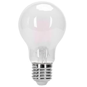 Glowster Bombilla LED pantalla mate filamento A60 E27 4W
